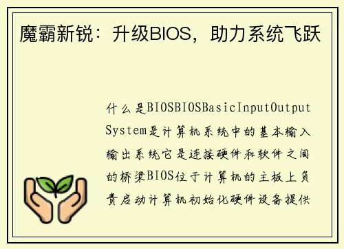 魔霸新锐：升级BIOS，助力系统飞跃